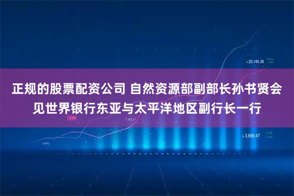 正规的股票配资公司 自然资源部副部长孙书贤会见世界银行东亚与太平洋地区副行长一行