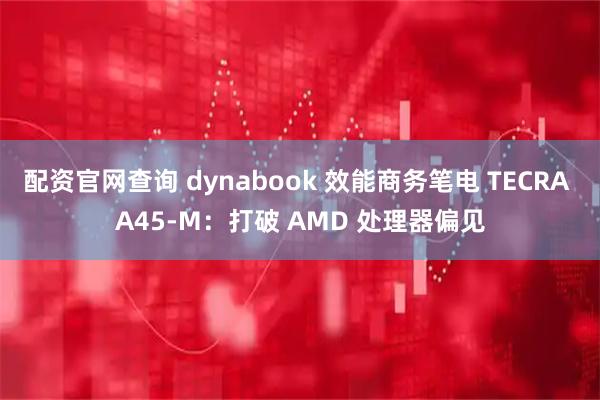 配资官网查询 dynabook 效能商务笔电 TECRA A45-M:打破 AMD 处理器偏见