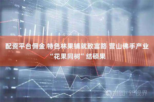 配资平台佣金 特色林果铺就致富路 营山佛手产业“花果同树”结硕果